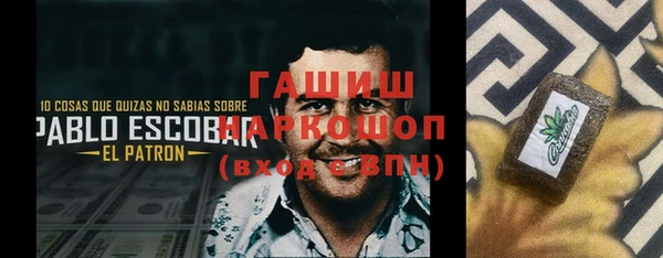 прущие грибы Мурманск
