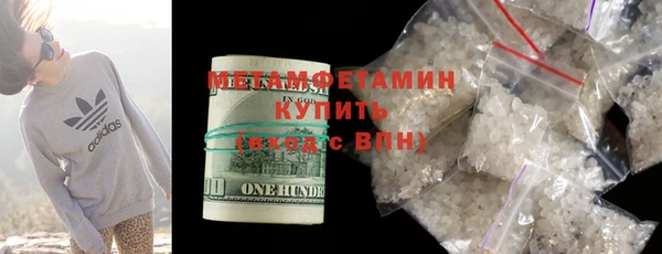 прущие грибы Мурманск