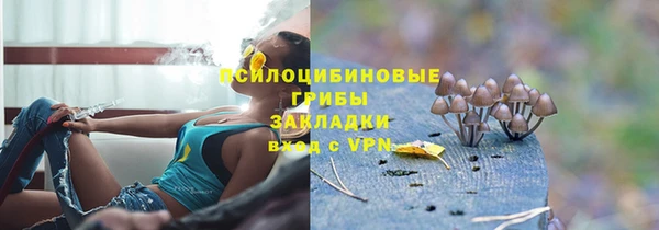 ешки Нижневартовск