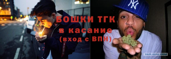 гидра Киреевск