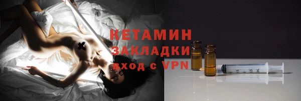 прущие грибы Мурманск