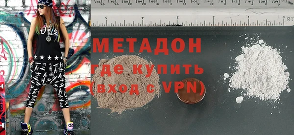 прущие грибы Мурманск