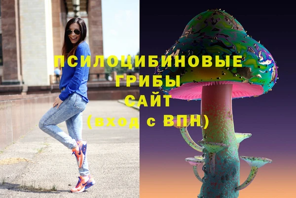 ешки Нижневартовск