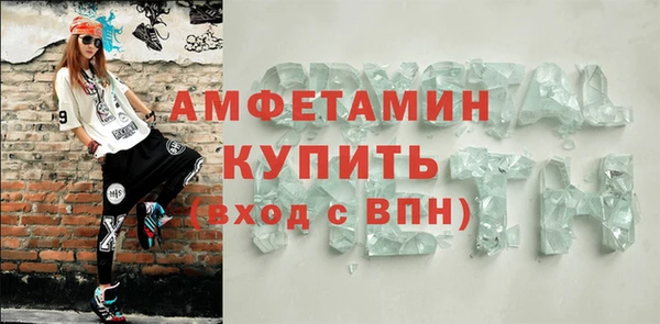 прущие грибы Мурманск