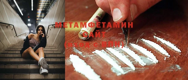 прущие грибы Мурманск