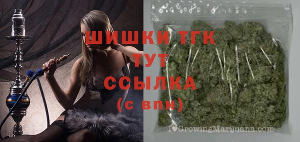 гидра Киреевск