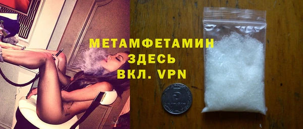 прущие грибы Мурманск