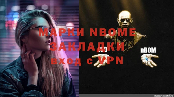 прущие грибы Мурманск