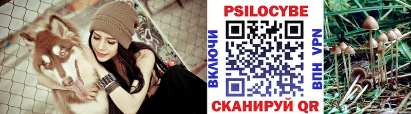 Купить где  Великий Устюг  Псилоцибиновые грибы GOLDEN TEACHER 